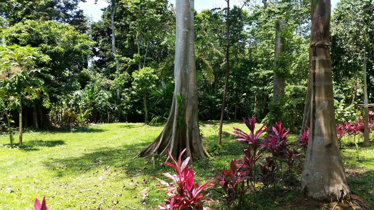 Casa Del Congo Vila Cahuita Exterior foto